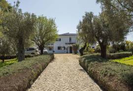 Olhão – Luxury 3-Bedroom Quinta with Pool, Sea Views and Olive Grove.