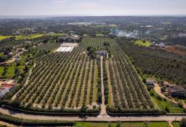 Olhão – Luxury 3-Bedroom Quinta with Pool, Sea Views and Olive Grove.