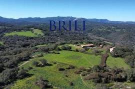 Estate with Cork Forest and Historic Hamlet in Tempio Pausania