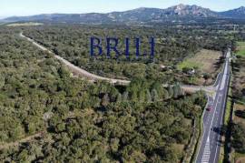 Cork Oak Estate in the Heart of Gallura