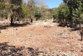 Land-Plot for sale in Platanitos Mexico