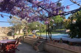 Beautiful House with Pool in the Middle of Vineyards