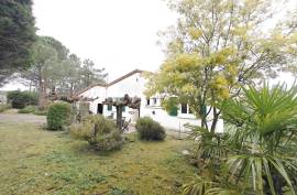 Detached Country Villa with Swimming Pool