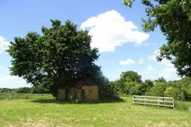 Detached Country House with Outbuildings