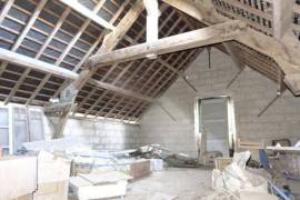 Barns to Convert into Habitation in Large Plot