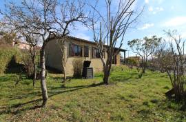 Single Storey Villa With Garden