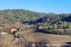 Unique Estate With Rare Potential