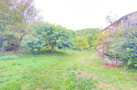 Former Farm Complex to Renovate