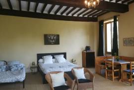 Manor House with Swimming Pool