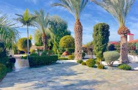 3 Bedroom Beautiful Bungalow - Peyia, Paphos