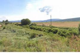 Vineyard Plot in Sungurlare, Burgas Province