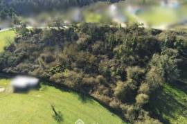 Terrain constructible - 7439m² - Montamisé