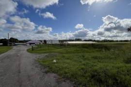 Сдается коммерческое помещение,