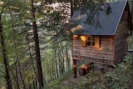 Off-Grid Cabin in Peaceful Pine setting
