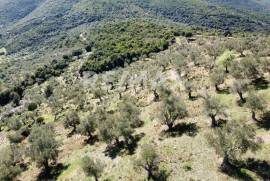 Agricultural 22986 sq.m for sale