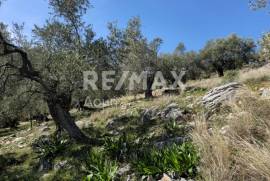 Agricultural 22986 sq.m for sale