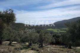 Agricultural 22986 sq.m for sale