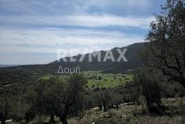 Agricultural 22986 sq.m for sale
