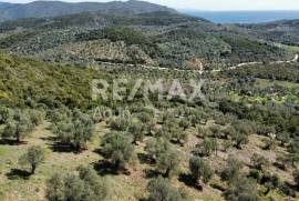 Agricultural 22986 sq.m for sale