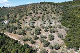 Agricultural 22986 sq.m for sale