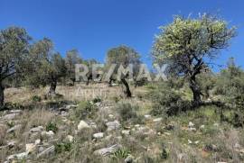 Agricultural 22986 sq.m for sale