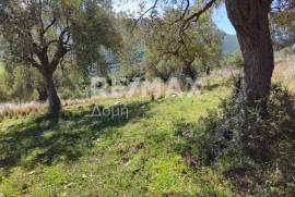 Agricultural 22986 sq.m for sale
