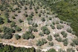 Agricultural 22986 sq.m for sale