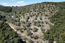 Agricultural 22986 sq.m for sale