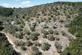 Agricultural 22986 sq.m for sale