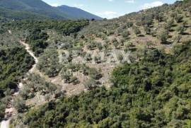 Agricultural 22986 sq.m for sale