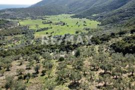 Agricultural 22986 sq.m for sale