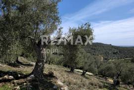 Agricultural 22986 sq.m for sale