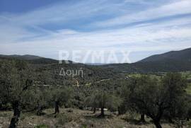 Agricultural 22986 sq.m for sale