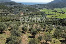 Agricultural 22986 sq.m for sale