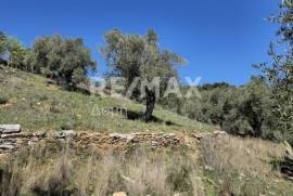 Agricultural 22986 sq.m for sale