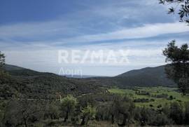Agricultural 22986 sq.m for sale