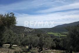 Agricultural 22986 sq.m for sale
