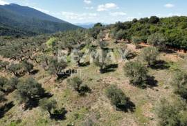Agricultural 22986 sq.m for sale