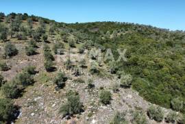 Agricultural 22986 sq.m for sale
