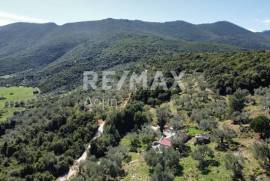 Agricultural 22986 sq.m for sale