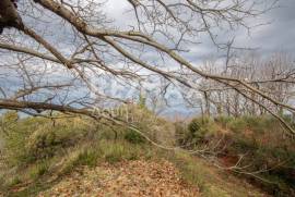 Agricultural 1122 sq.m for sale