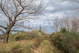 Agricultural 1122 sq.m for sale