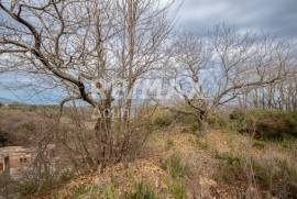 Agricultural 1122 sq.m for sale