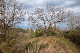 Agricultural 1122 sq.m for sale