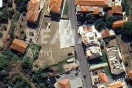 Plot 1529 sq.m for sale