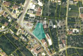 Plot 1529 sq.m for sale