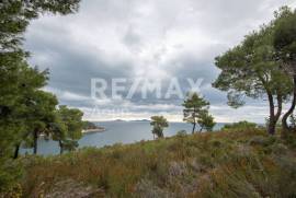 Agricultural 4877 sq.m for sale