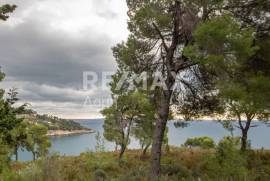Agricultural 4877 sq.m for sale