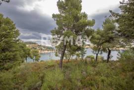 Agricultural 4877 sq.m for sale