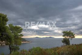 Agricultural 4877 sq.m for sale